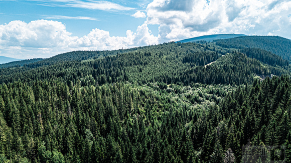 20240629_121632_DJI_20240629121632_0168_D