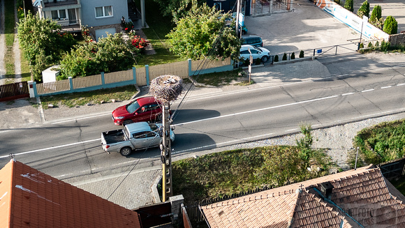 20240621_190032_DJI_20240621190032_0156_D